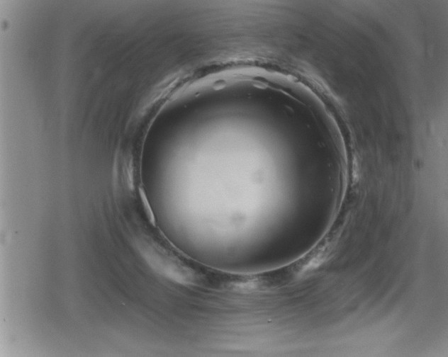 X0000080800068200612151514