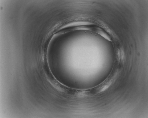 X0000080800072200612151514