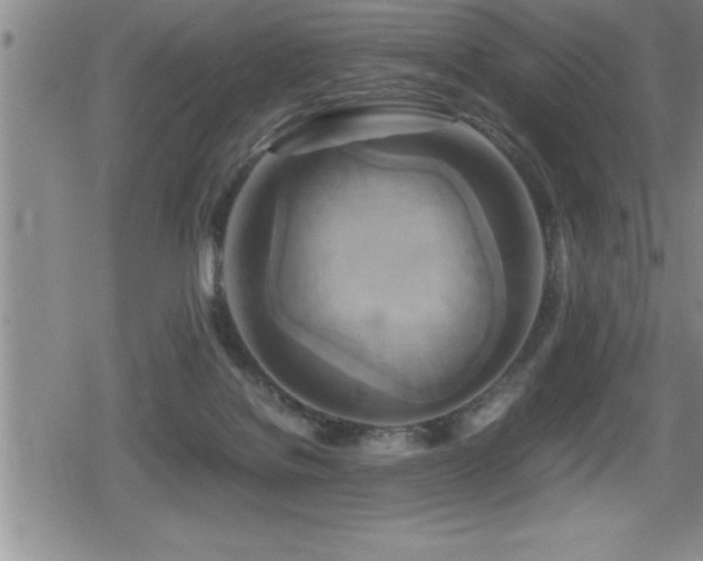 X0000080800076200612151514