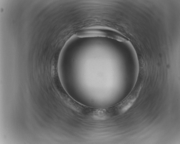 X0000080800080200612151514