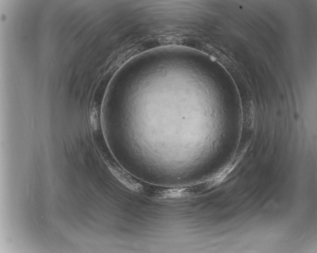 X0000080800090200612151514