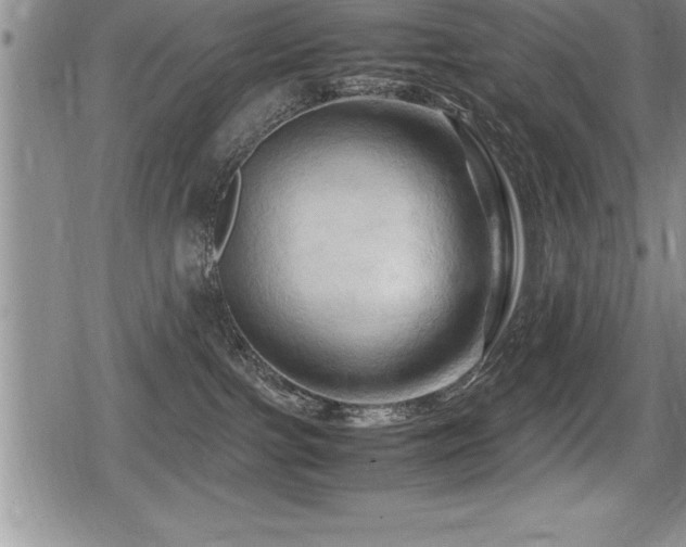 X0000080800091200612151514