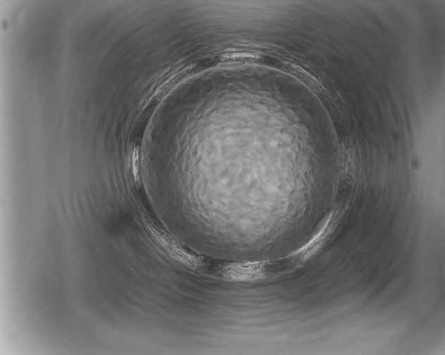 X0000080800094200612151514