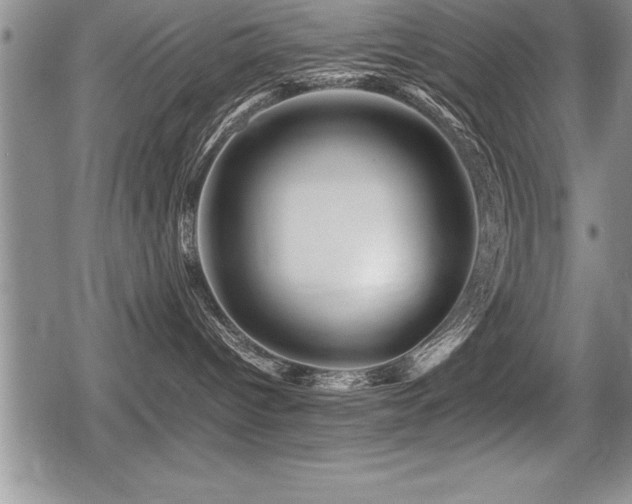 X0000080800096200612151514