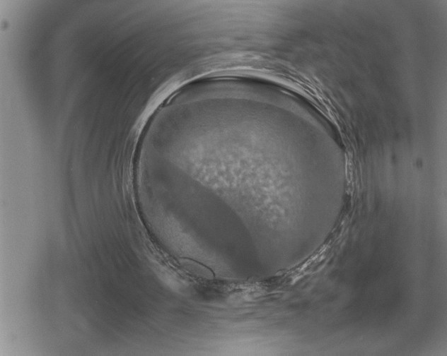 X0000080800099200612151513