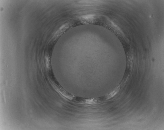 X0000080800130200612151513