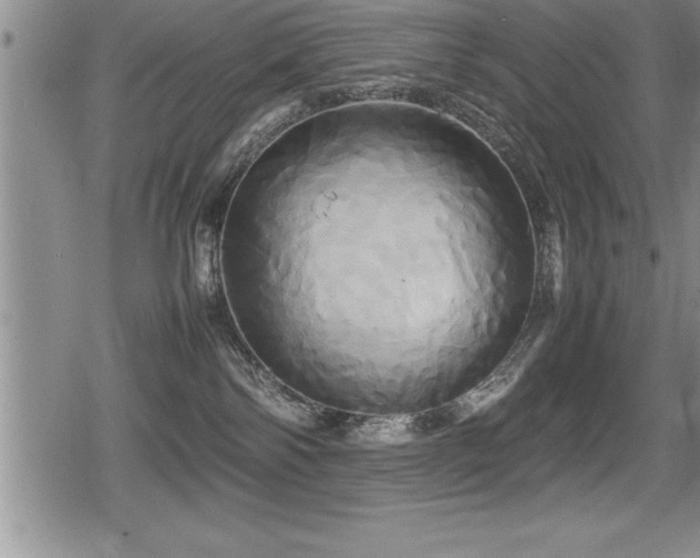 X0000080800138200612151513