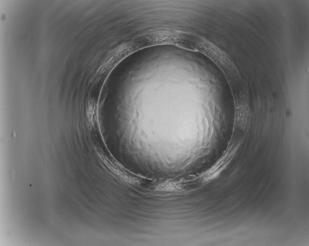 X0000080800142200612151512