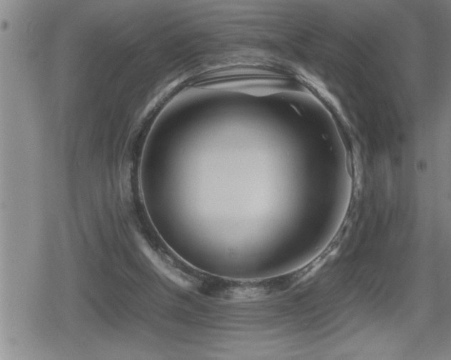 X0000080800154200612151512
