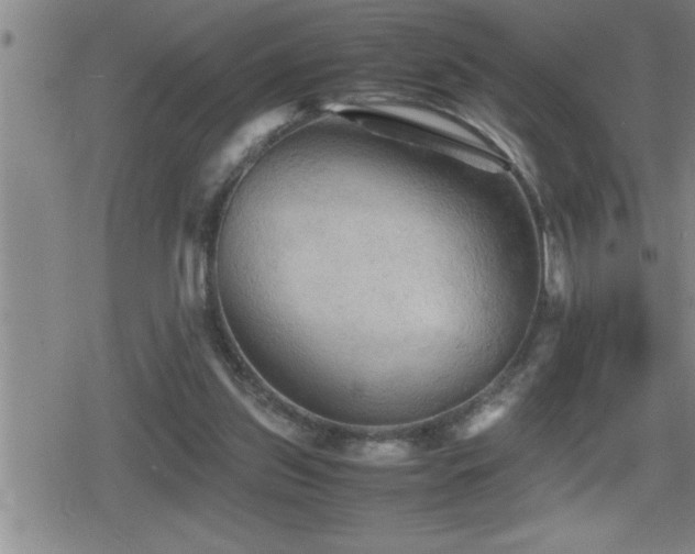 X0000080800157200612151512