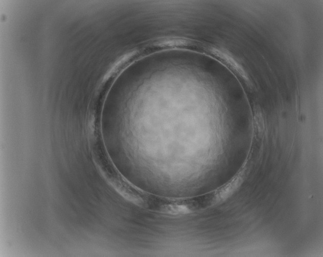 X0000080800159200612151512