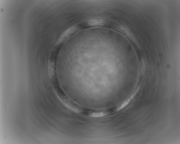 X0000080800171200612151512