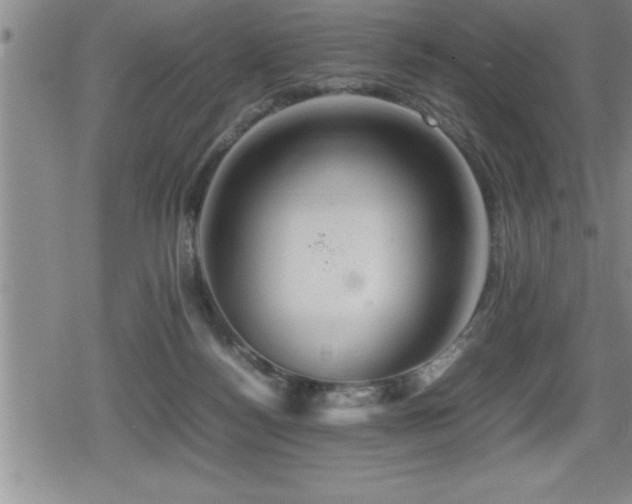 X0000080800172200612151512