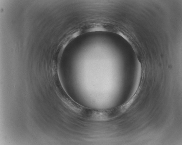 X0000080800174200612151512