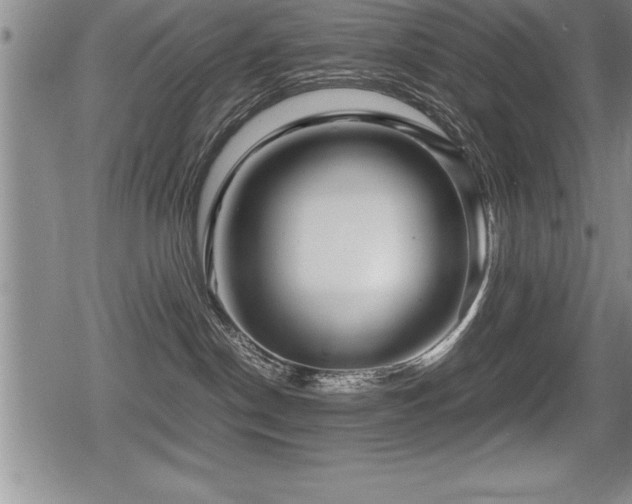 X0000080800190200612151512