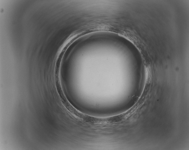 X0000080800195200612151512