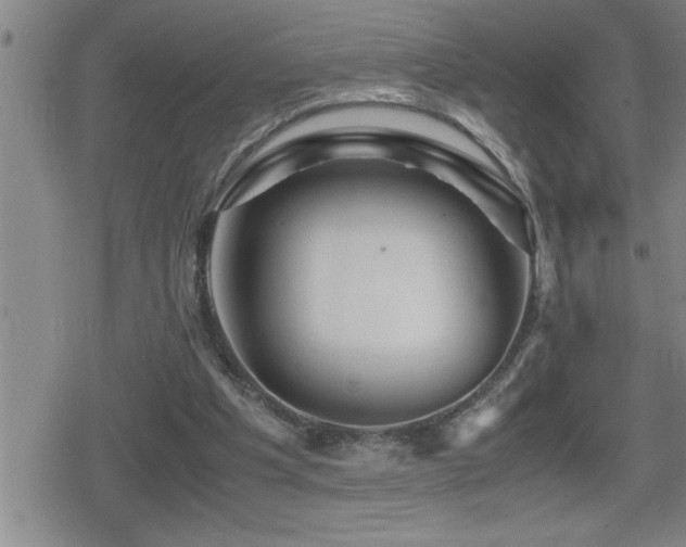 X0000080800201200612151512