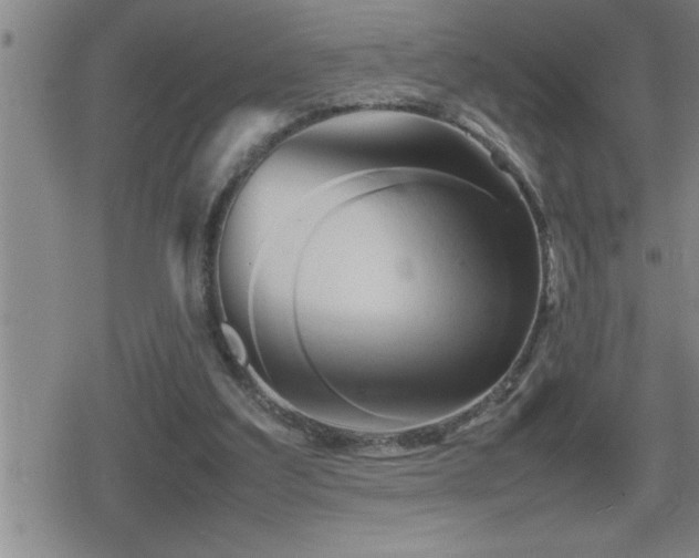 X0000080800203200612151511