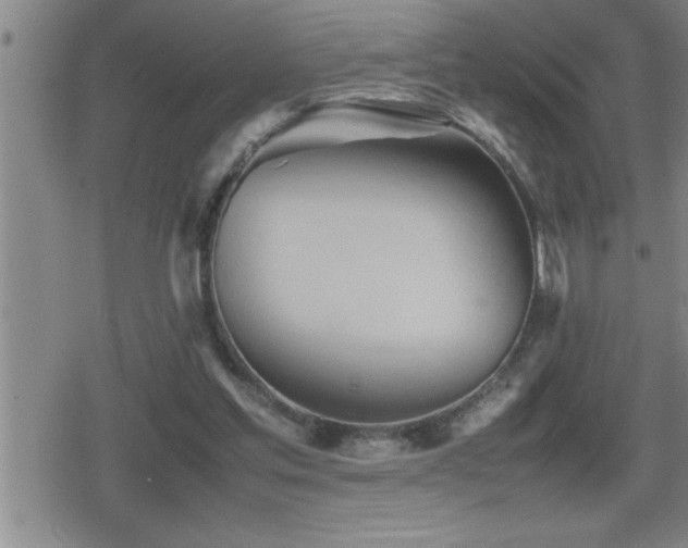 X0000080800205200612151511