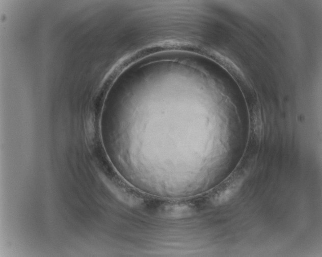 X0000080800208200612151511