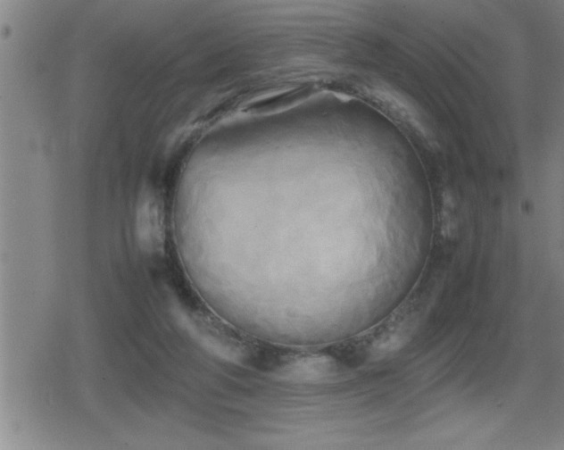 X0000080800210200612151511
