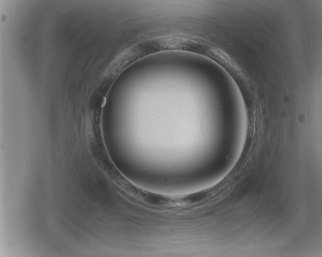 X0000080800217200612151511