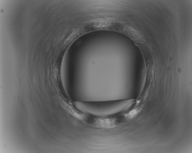 X0000080800227200612151511