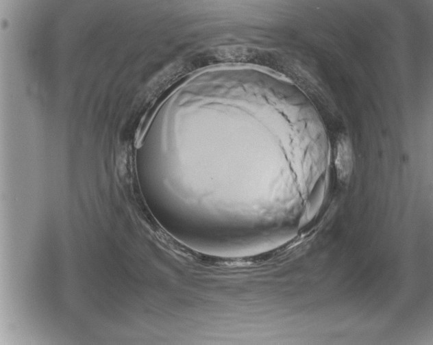 X0000080800233200612151511