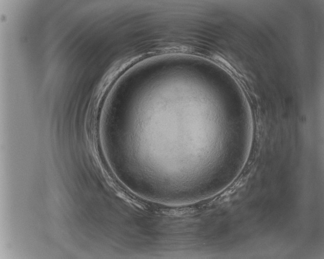 X0000080800241200612151510