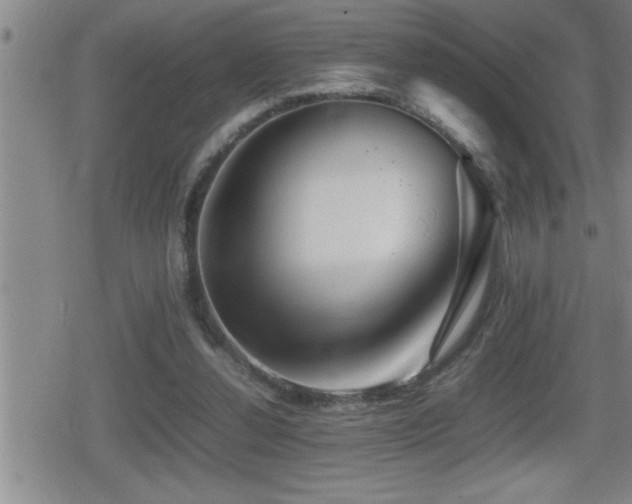 X0000080800252200612151510
