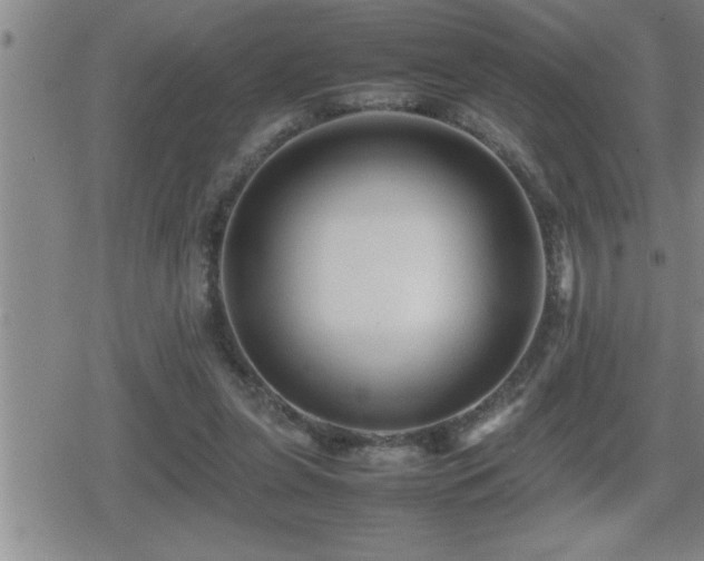 X0000080800255200612151510