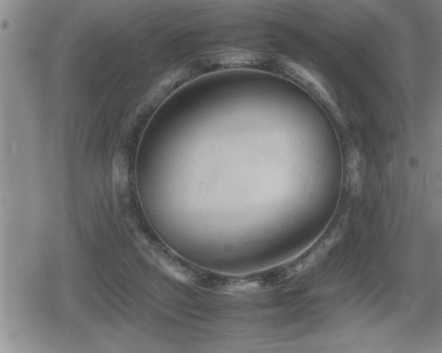 X0000080800257200612151510