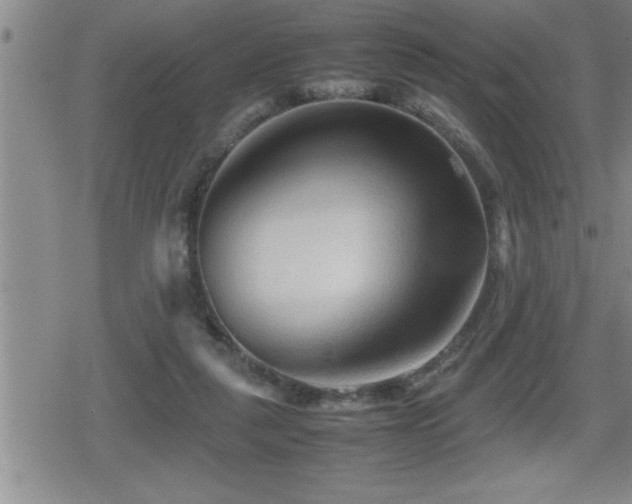 X0000080800259200612151510