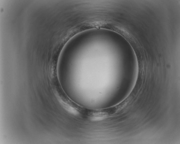 X0000080800268200612151511