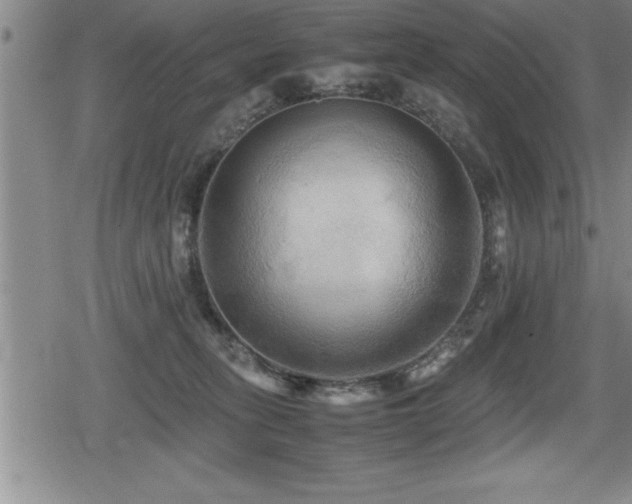 X0000080800275200612151511