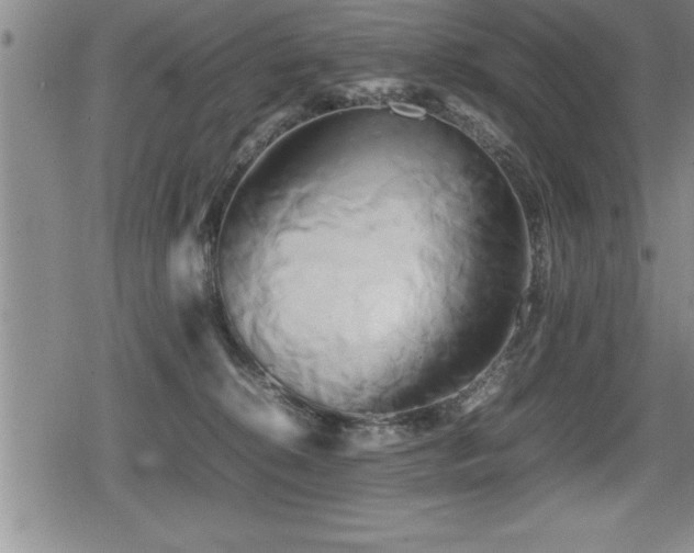 X0000080800276200612151511