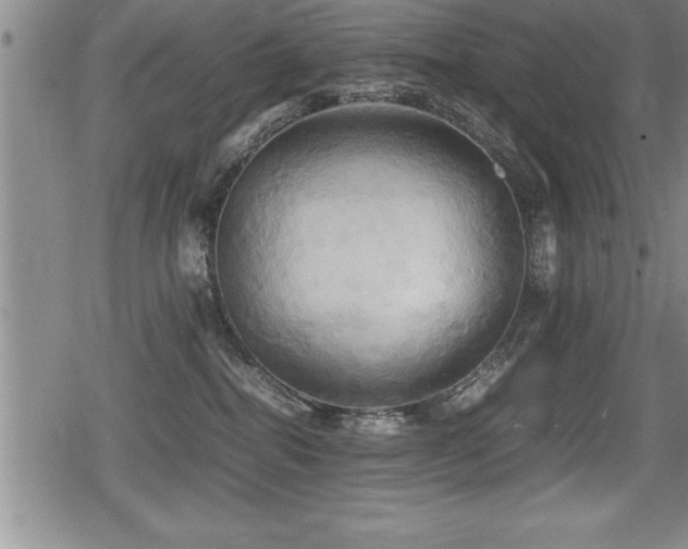 X0000080800282200612151511