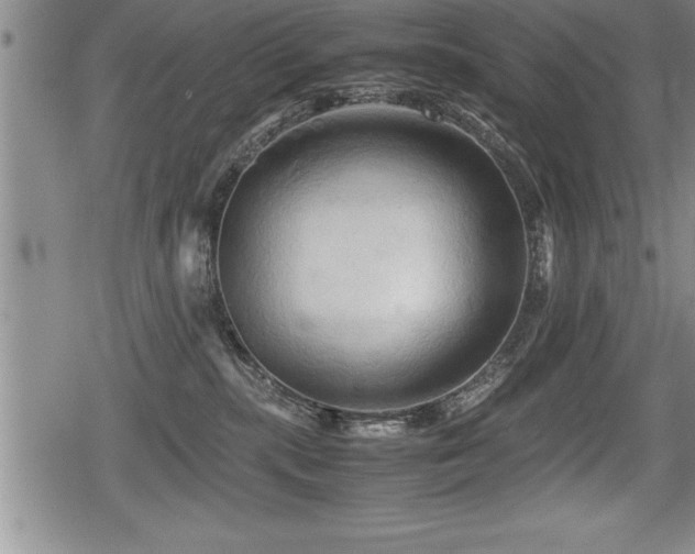 X0000080800283200612151511