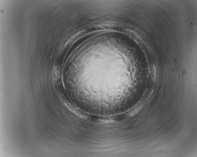 X0000080800284200612151511