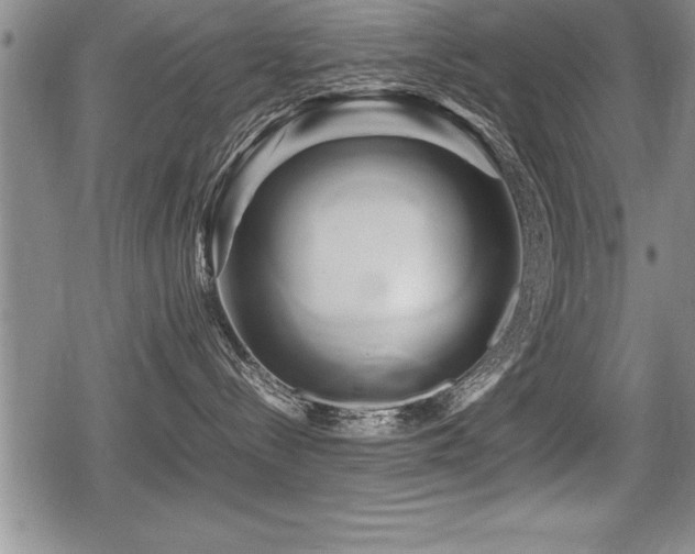 X0000080800288200612151511