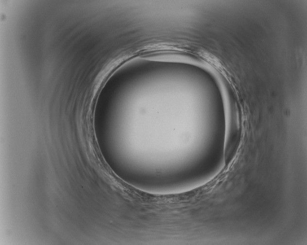 X0000080800289200612151510