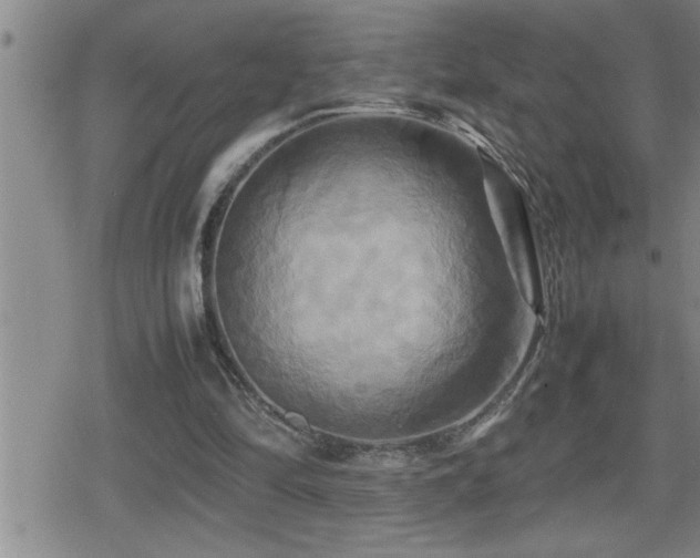 X0000080800294200612151510