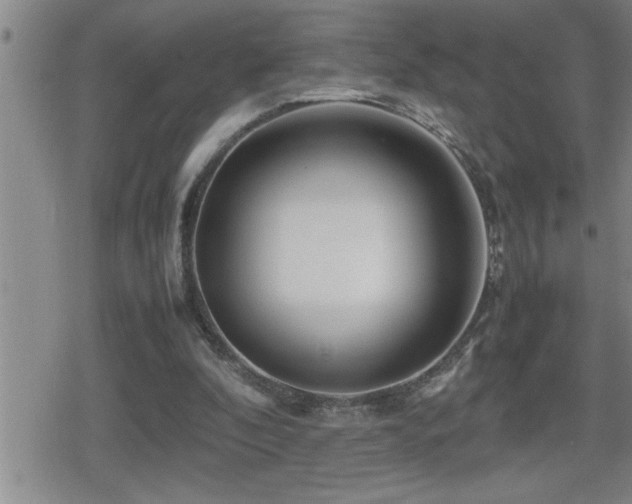 X0000080800296200612151510