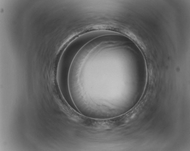 X0000080800297200612151510