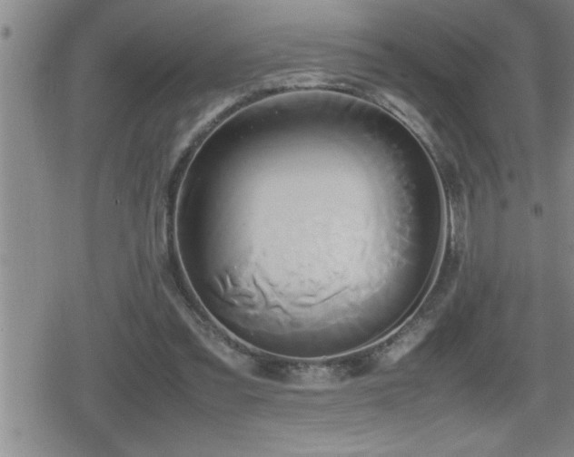X0000080800301200612151510
