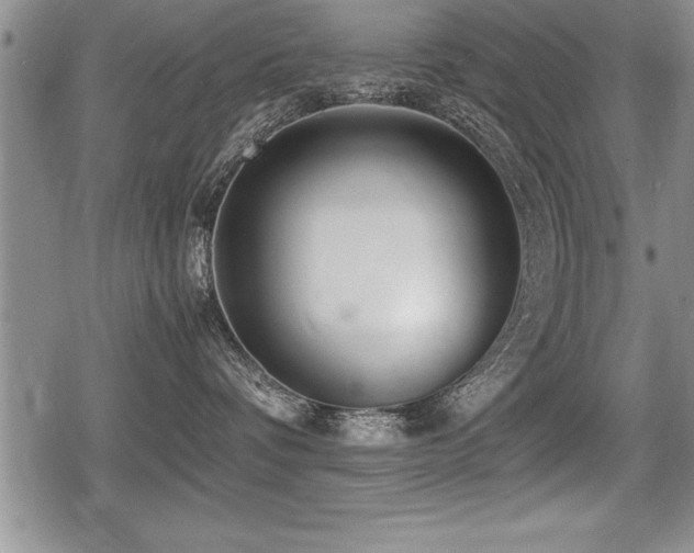 X0000080800336200612151509