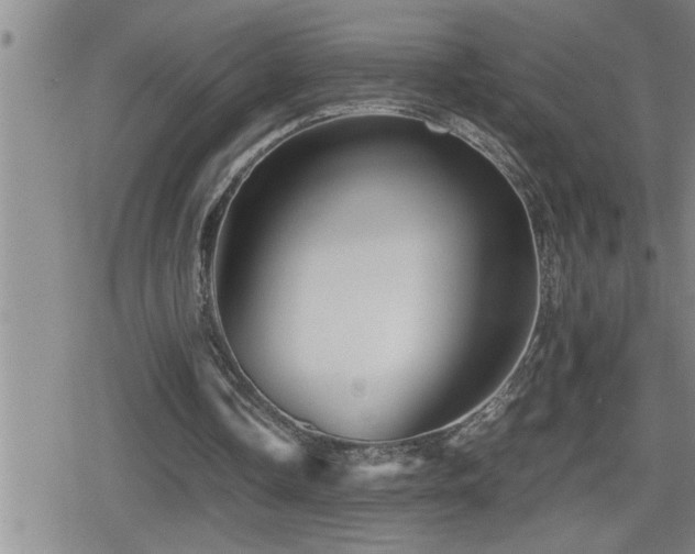 X0000080800338200612151509