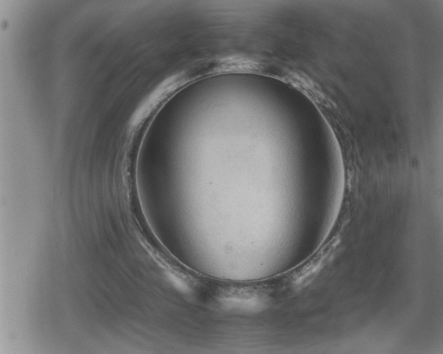 X0000080800341200612151509
