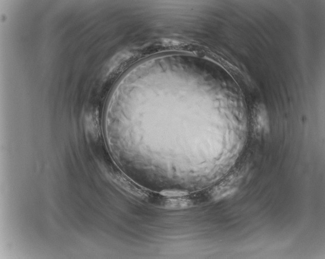 X0000080800376200612151509