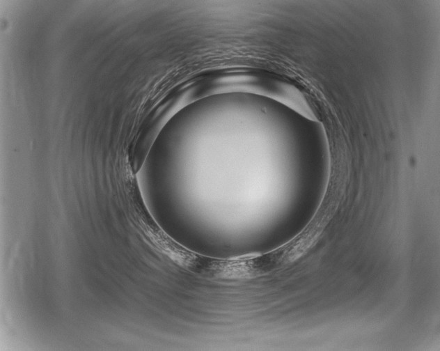 X0000080800384200612151509